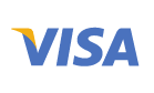 payment processing visa